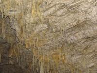 Albums/20060200-New Zealand 2006/20060318-Kaikiura/79